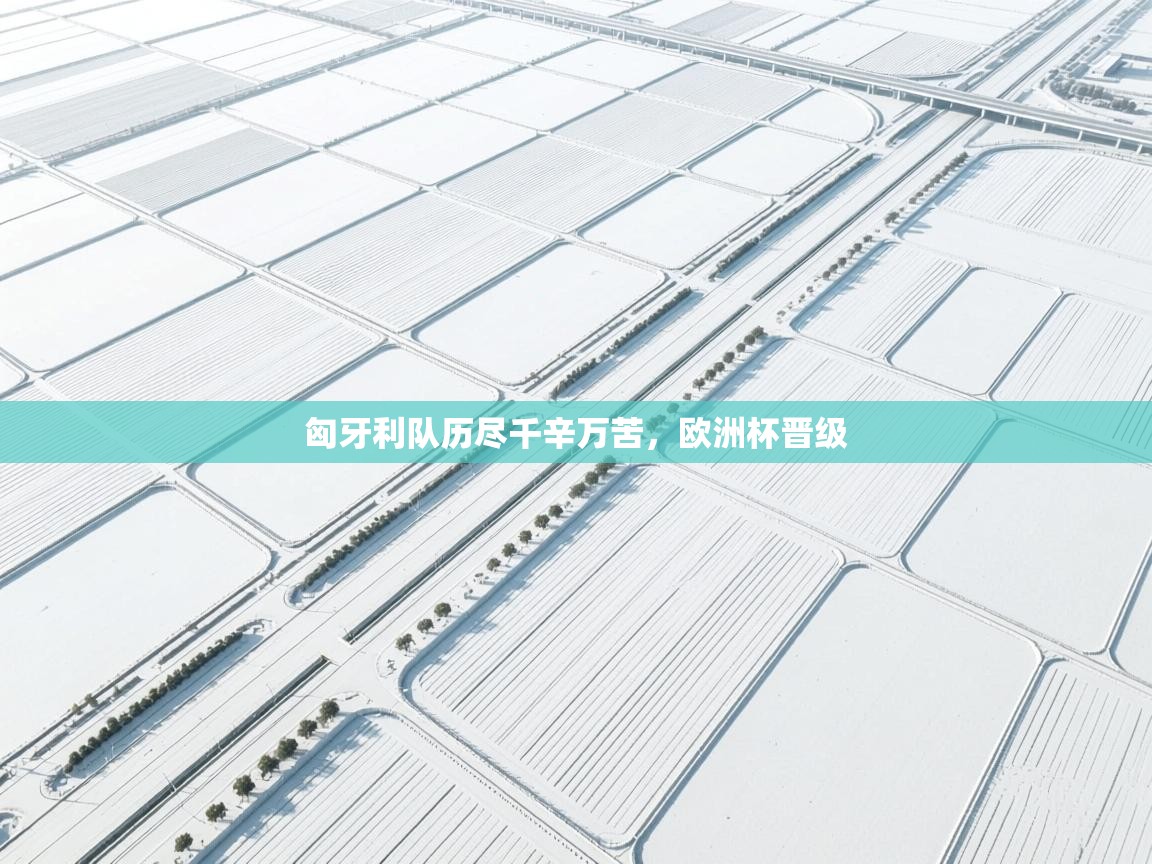 匈牙利队历尽千辛万苦，欧洲杯晋级