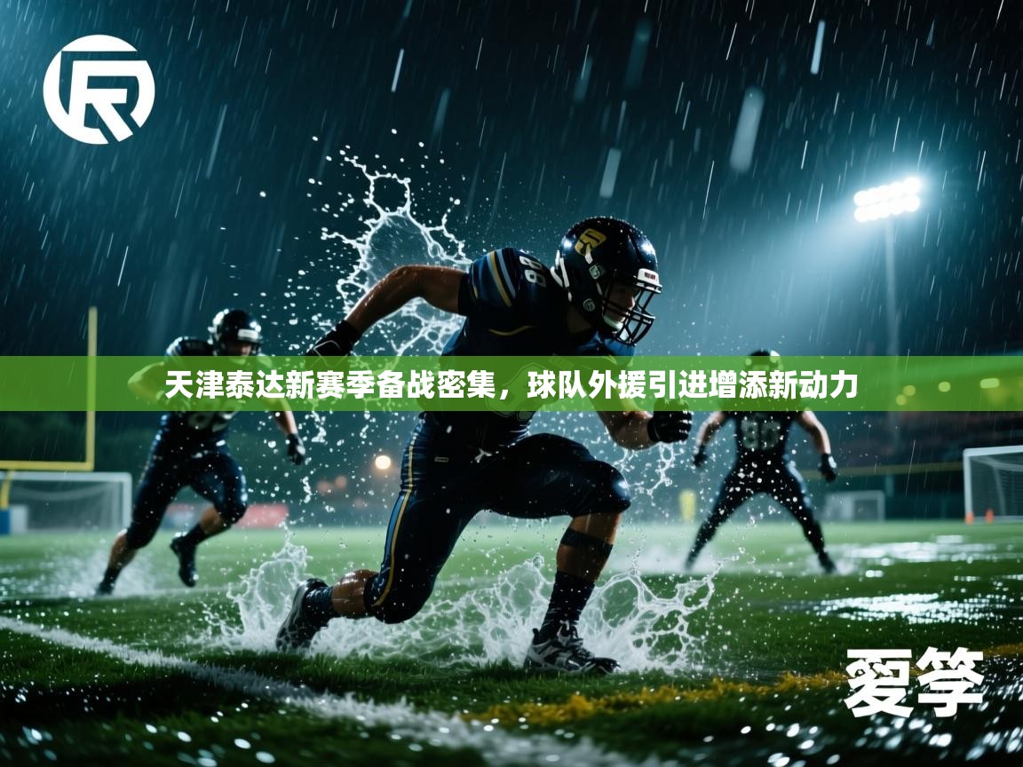 天津泰达新赛季备战密集，球队外援引进增添新动力  第2张