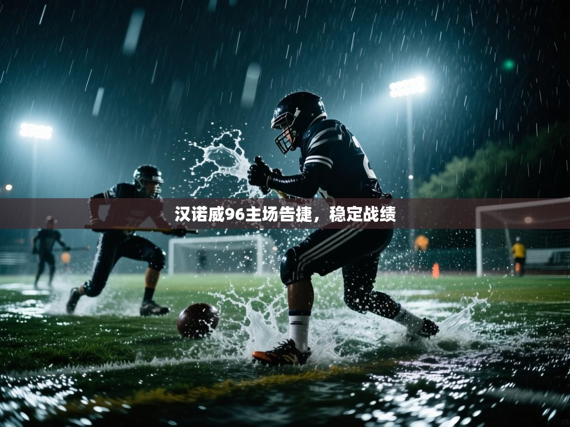 汉诺威96主场告捷，稳定战绩  第2张