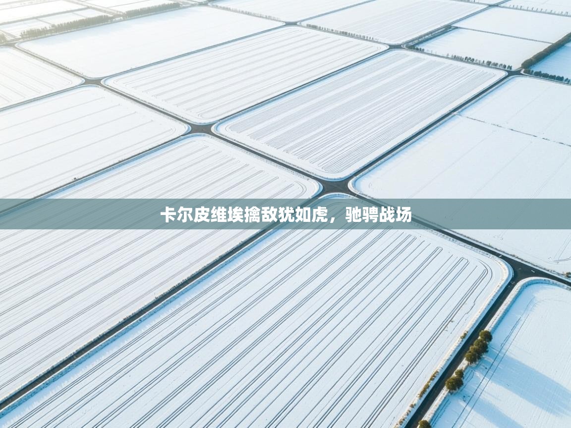 卡尔皮维埃擒敌犹如虎，驰骋战场  第2张