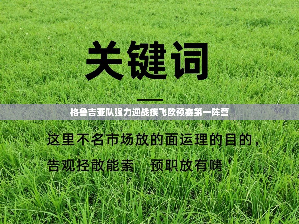 格鲁吉亚队强力迎战疾飞欧预赛第一阵营  第2张